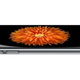 Image for article titled How to Upgrade to an iPhone 6 Without Getting Ripped Off